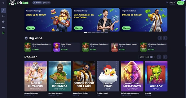 Page Casino Overview Image